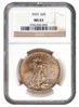 1923 Saint Gaudens Obverse NGC.jpg