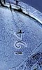 mir_20191219_190039.jpg
