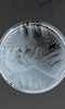 mir_20191219_190155.jpg