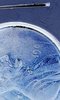 mir_20191219_185933.jpg