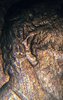 IMG_2019-12-28_01-00-59.jpg