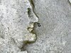 S20191229_0017.jpg
