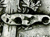 Mercury #12.jpg