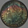 1902 O Rainbow toned morgan.jpg
