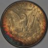 1902 O Rainbow toned morgan 2  .jpg