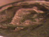 DSC00036.JPG