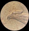 Owl Coin 3.jpg