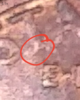 Screenshot_20200115-080353~2.png
