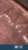 Screenshot_20200115-080423.png