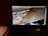 20200119_012835.jpg