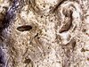 WIN_20200125_12_51_16_Pro.jpg