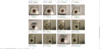 Screenshot (5).png