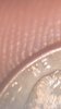 CM200128-175309051.jpg