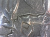 1969D - RDV008 - leaf.jpg