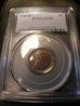 ebay 004.jpg