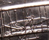 20110304_72.JPG