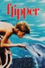 flipper.jpg