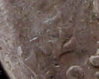 IMG_1rmintmark mo.jpg