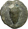 Semuncia.Acorn.Sigma.Cr14.7.jpg