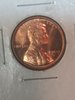 Picture_20201702091734.jpg