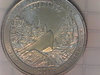 S20200207_005.jpg