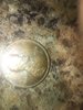 8CB84D49-0567-4278-BA54-017EC250B504.jpeg