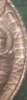 upload_2020-2-17_14-14-58.png