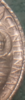 upload_2020-2-17_14-15-38.png