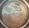 1884-O Morgan pcgs obv.jpg