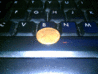 IMAG0581.gif
