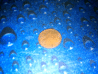 IMAG0586.gif
