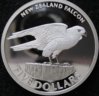 IMG_nzelandobv.jpg