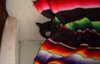 blackcat-underblanket-yawn_1-29-04.jpg