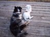 100_5755.JPG