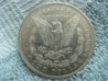 1878-S_Back.jpg