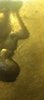 A1D29E9E-E688-4403-B43A-52C0CC5D537D.jpeg