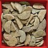 inasta cut coins 2.22.19.jpg