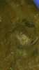 2020-02-27-082856.jpg