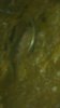 2020-02-27-082842.jpg