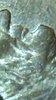 2020-03-04-011516.jpg