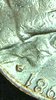2020-03-04-040632.jpg