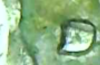 upload_2020-3-4_15-54-30.png