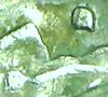 _20200304_130534.JPG