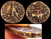 copper-asia-coin.jpg