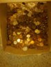 2011-03-22 03.19.23.jpg