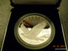 DSCN0194.JPG