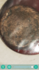 Screenshot_20200321-161242.png