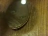 IMG_20110325_201031.jpg