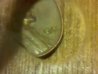 IMG_20110325_201102.jpg