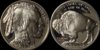 2001 Buffalo Proof Commemorative.jpg
